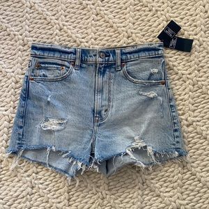 Abercrombie & Fitch High Rise Mom Shorts (size 2/26) NWT